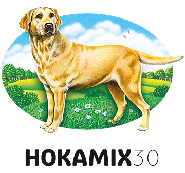 Hokamix